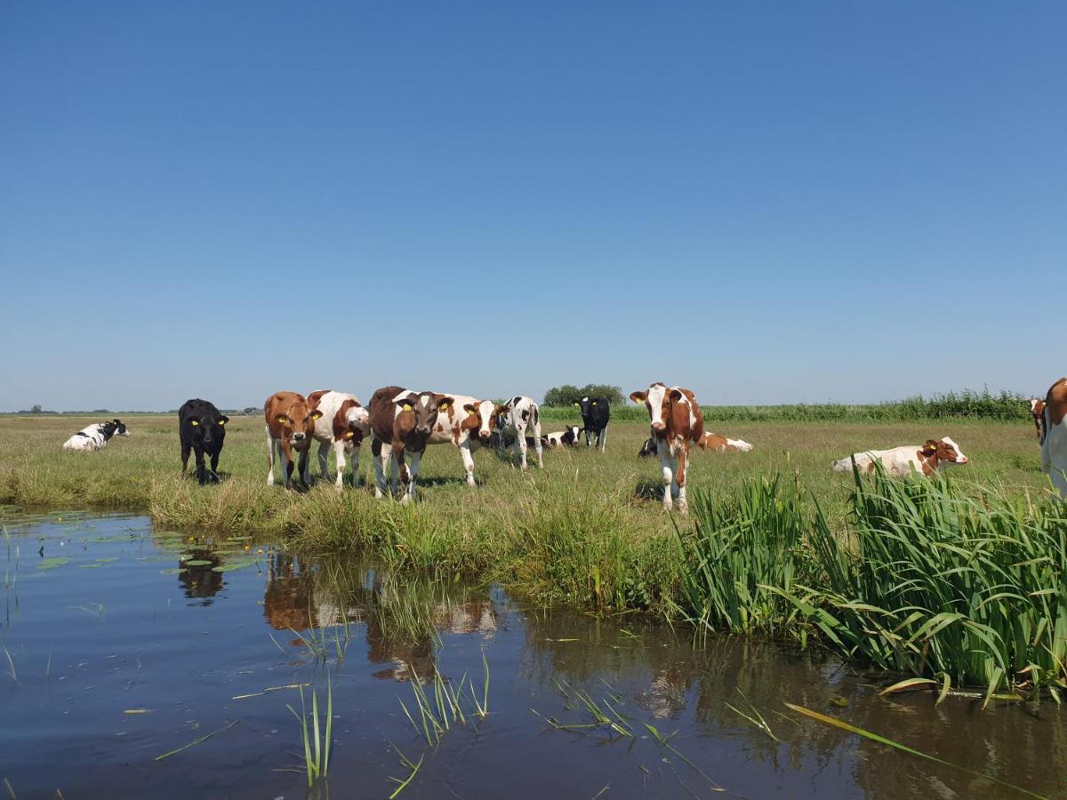 Vakantiehuisje 'T Wiede Blokzijl Exteriér fotografie