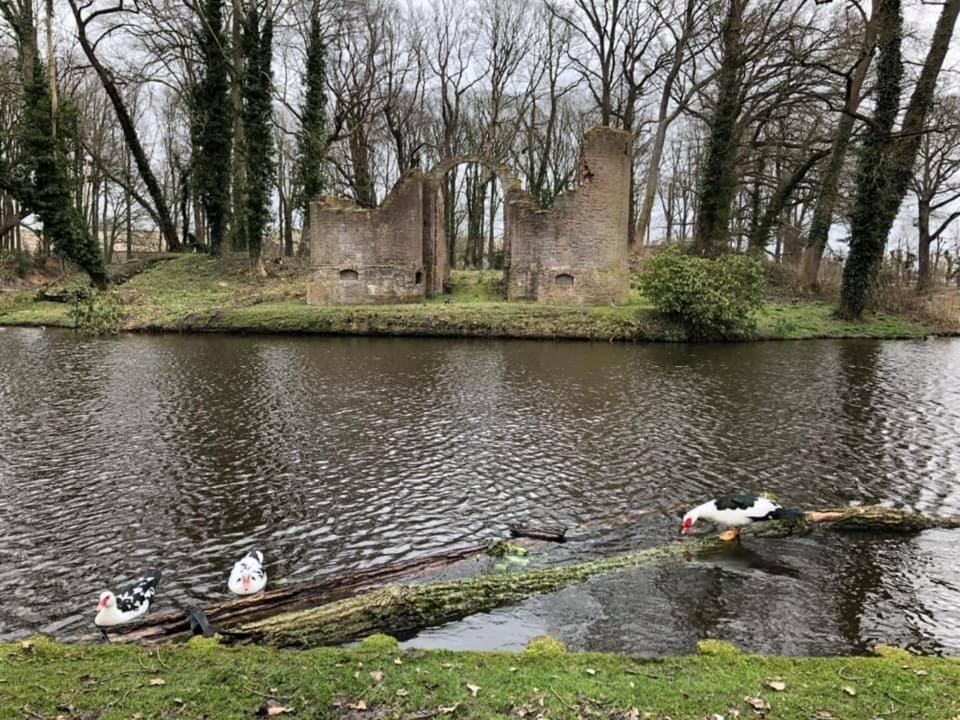Vakantiehuisje 'T Wiede Blokzijl Exteriér fotografie